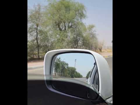 انت مشيتي وبكيت الوردة ملحم زين حالات واتس
