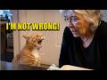 These Cats Argue Like Tiny Humans 😂🐱 | Funniest Talking Cat Moments