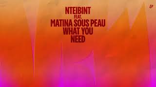 NTEIBINT feat. Matina Sous Peau - What You Need