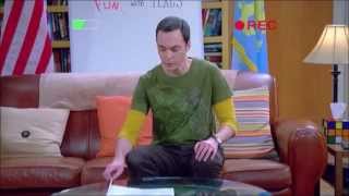 The Big Bang Theory - Fun with Flags Finale Part 2 Net Worth