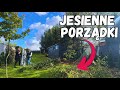 Nasze pierwsze jesienne porządki w ogrodzie | Przycinamy drzewa #ogród #porządki #jesień