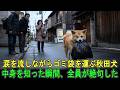 涙を流しながらゴミ袋を運ぶ秋田犬…中身を知った瞬間、全員が絶句した