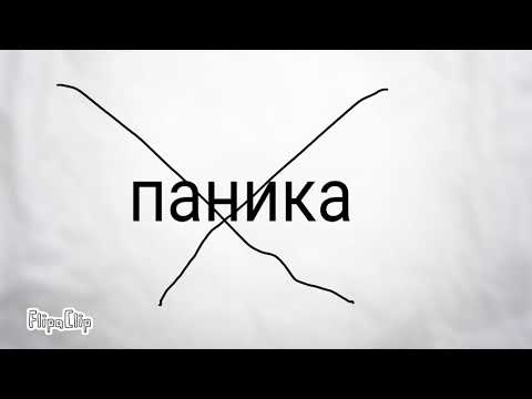 Бабек Мамедрзаев-Принцесса🛳