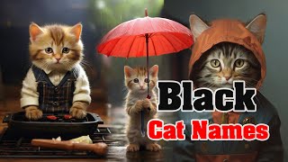 Cat Names for Every Kind of Kitty | Ancient Black Cat Names by Anim_Kin 149 views 2 weeks ago 1 minute, 52 seconds