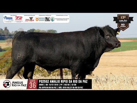 LOTE 36 - 2552 AMALIO DA RIO DA PAZ TE