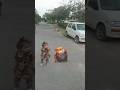 cutee girl dance with cute mouse