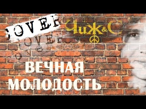 Чиж Вечная молодость аккорды 🎸 кавер табы как играть на гитаре | pro-gitaru.ru