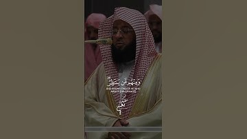 تلاوة هادأ من فضلت الشيخ  بدر بن محمد التركي #