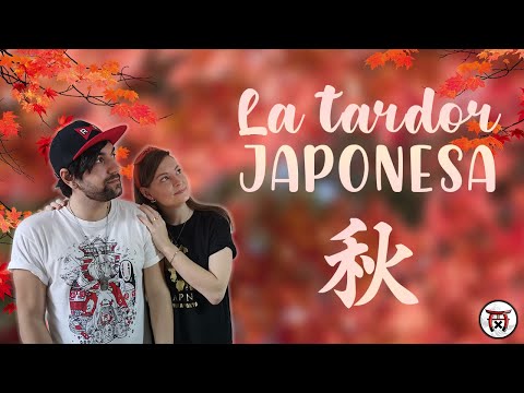 Vídeo: Com Traslladar-se A Viure Al Japó