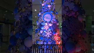 CHRISTMAS TREE 3 (2024)