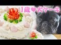 犬用ケーキを手作り！誕生日のかわいいご飯ケーキ