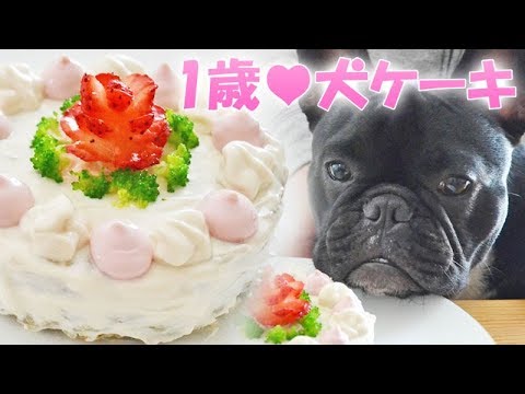 推測する かわいらしい おかしい 犬 誕生 日 ケーキ 作り方 Kanteikobo Jp