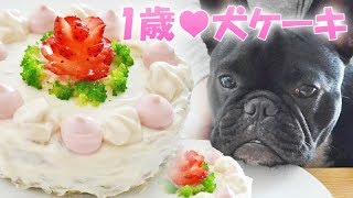 犬用ケーキを手作り！誕生日のかわいいご飯ケーキ