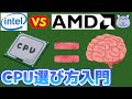CPUの選び方をやさしく教えるよ 2020年7月版 デスクトップ用CPU intel Core i AMD Ryzen