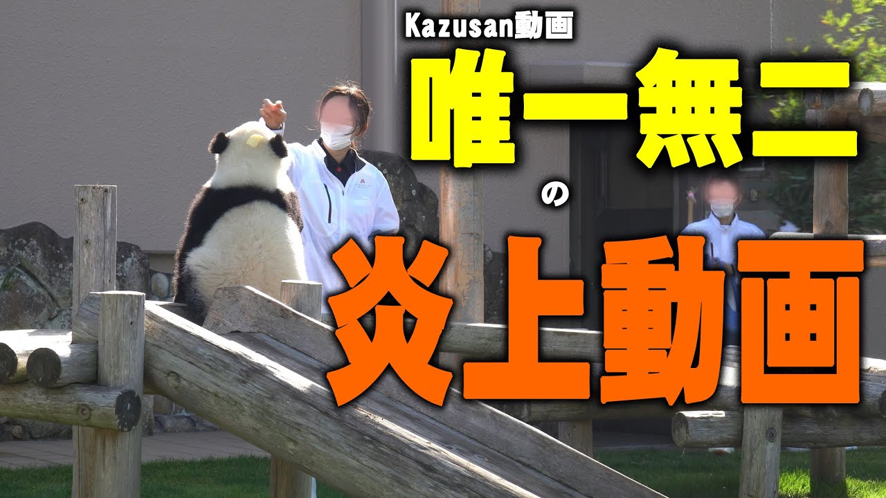 【今となったら懐かしい楓浜激怒】アドベンチャーワールドに苦情殺到から３年半余 思えば楓浜の個性が出た瞬間