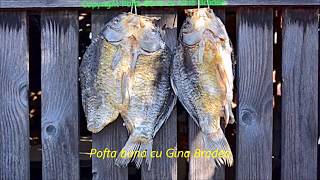 Peste Uscat Reteta Traditionala Dobrogeana