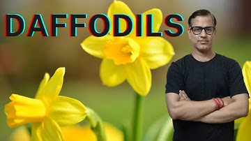 Daffodils by William Wordsworth | Treasure Trove Daffodils ICSE Class 10 | @sirtarunrupani