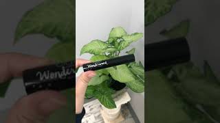 🛍️ TikTok Finds: Zero-Waste Beauty!🌿