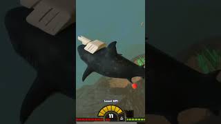 I put a LASER BEAM on this Shark's head