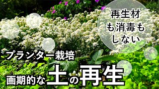 【画期的な土の再生】捨てるようなもので「捨てない土づくり」自然農のプランター栽培