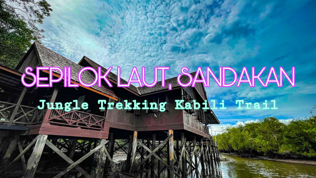 Jungle Trekking Hutan Simpan Kabili Sepilok Sandakan - Hiking Sepilok Laut Kabili Trail (vlog)