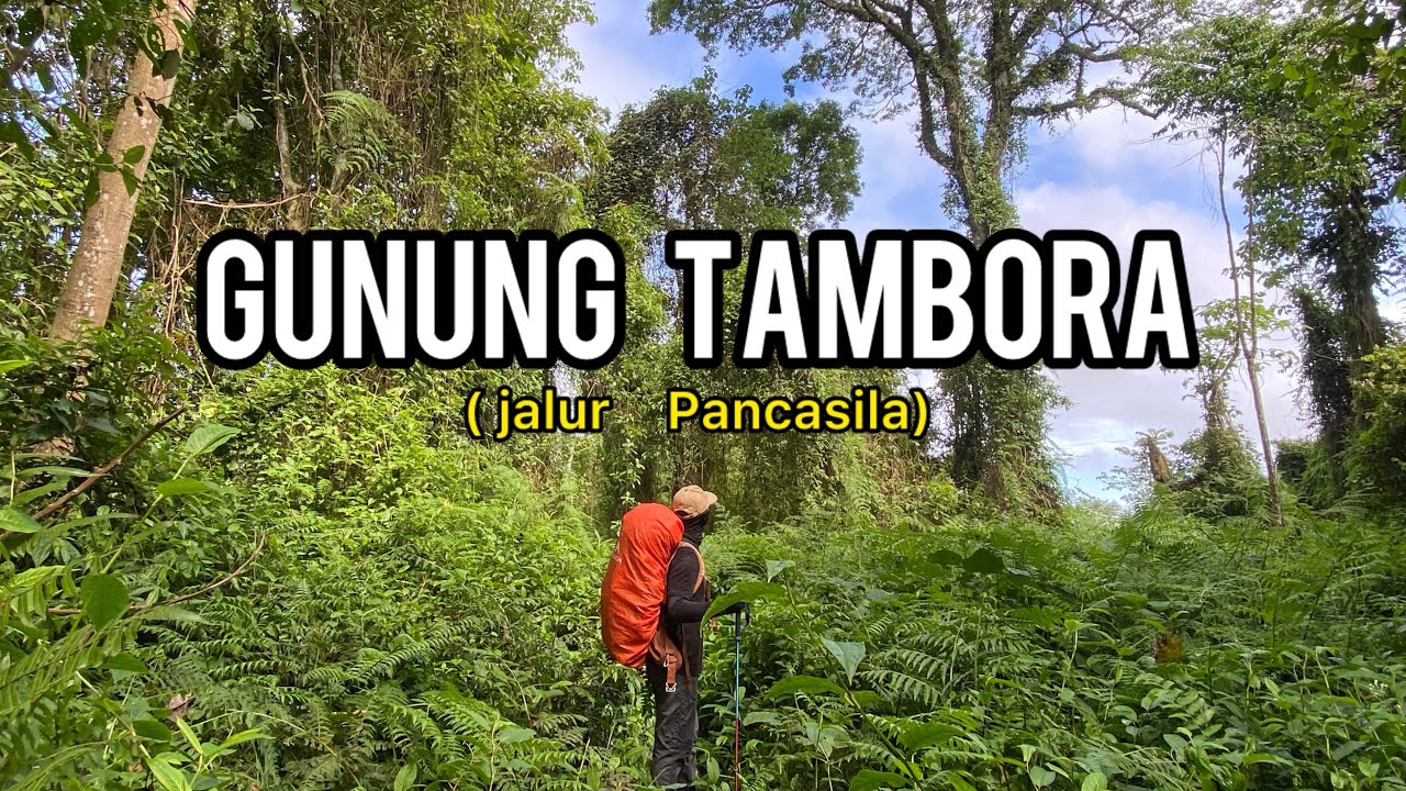 Gunung Tambora ( jalur pancasila )