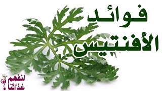 فوائد الافنتيس