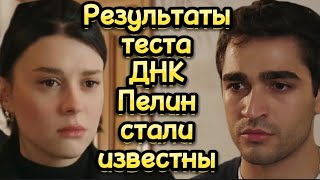 Зимородок. Результаты теста ДНК Пелин стали известны. Yalı çapkını.