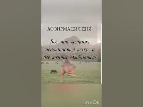 Аффирмация дня - YouTube