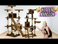 BUILDING MY KITTENS THEIR DREAM HOUSE!! (AWESOME) | NICOLE SKYES