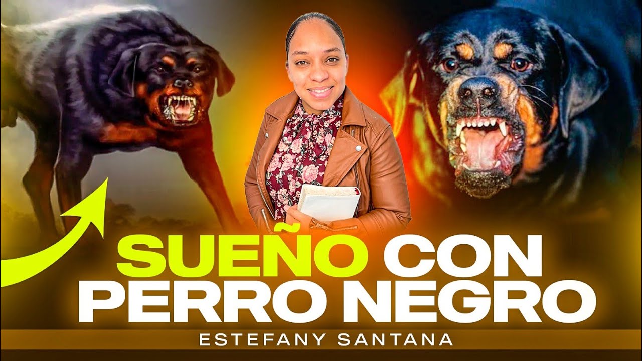 Porque sueñas con perros negros,vacas negras y otros animales? Estefany Santana