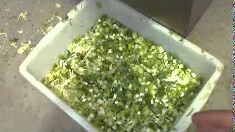 Automatic green onion cutter machine