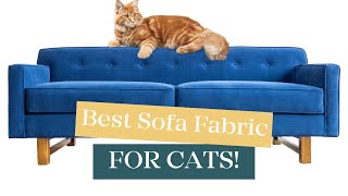 The Best Sofa Fabric For Cats! (Its probably one you heard of!)