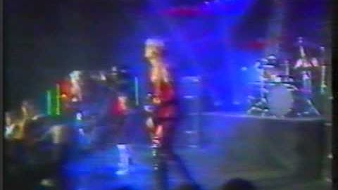 Wasp - I don