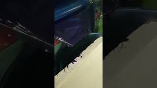 Three Roll Mill Manufacturers