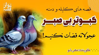 داستان کلیله و دمنه «کبوتر بی صبر» | قصه‌های کلیله‌ودمنه برای بچه‌های خوب