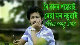 Noi kandor posuwai || new assamese song 2018 || whtsapp lyric status || achrujya borpatra