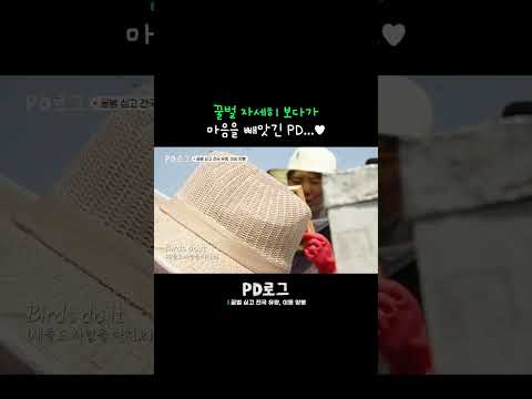 꿀벌 자세히 보다가 마음을 빼앗긴 PD
