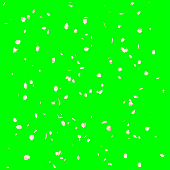 Green screen chery petals..