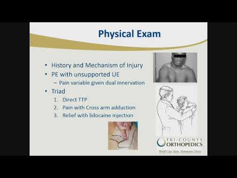 Introduction to Anatomy of the Shoulder and Common Causes of Shoulder Pain: David Epstein, MD