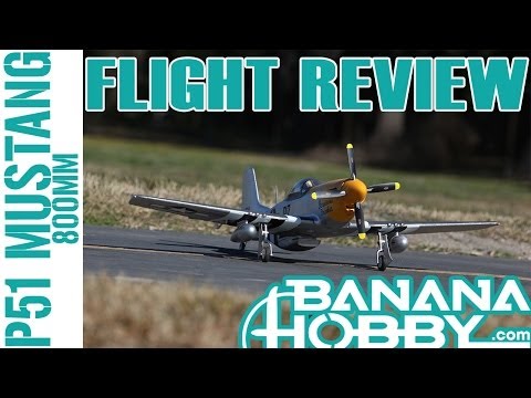 Mini P-51 Mustang