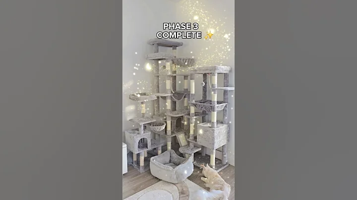 Watch the video about Cat tower expansion update 😼#shorts #fyp #viral #cat #cats #trending
