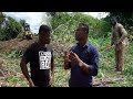 I Left China to Farm 1500 Acres Of Cassava In Ghana!