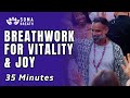 35 mins breathwork  peaceful music for mind relaxation vitality joy  inner peace