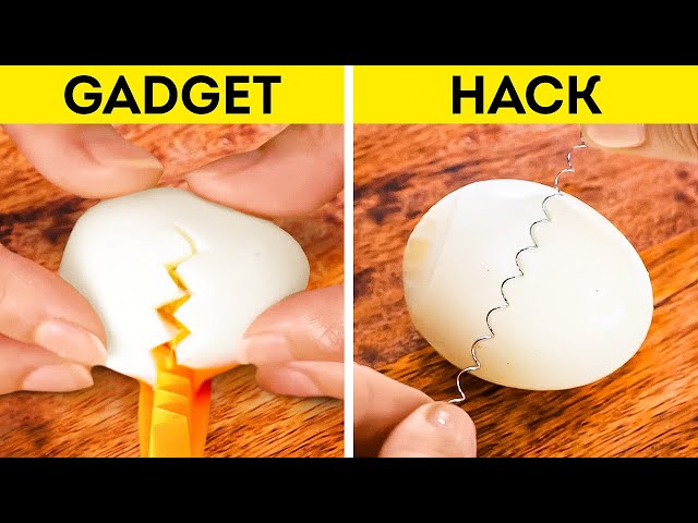 10 Bizarre Egg Gadgets That Are Total Fails « Food Hacks :: WonderHowTo