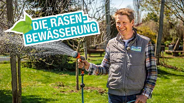 Wie lange Rasen wässern im Sommer?