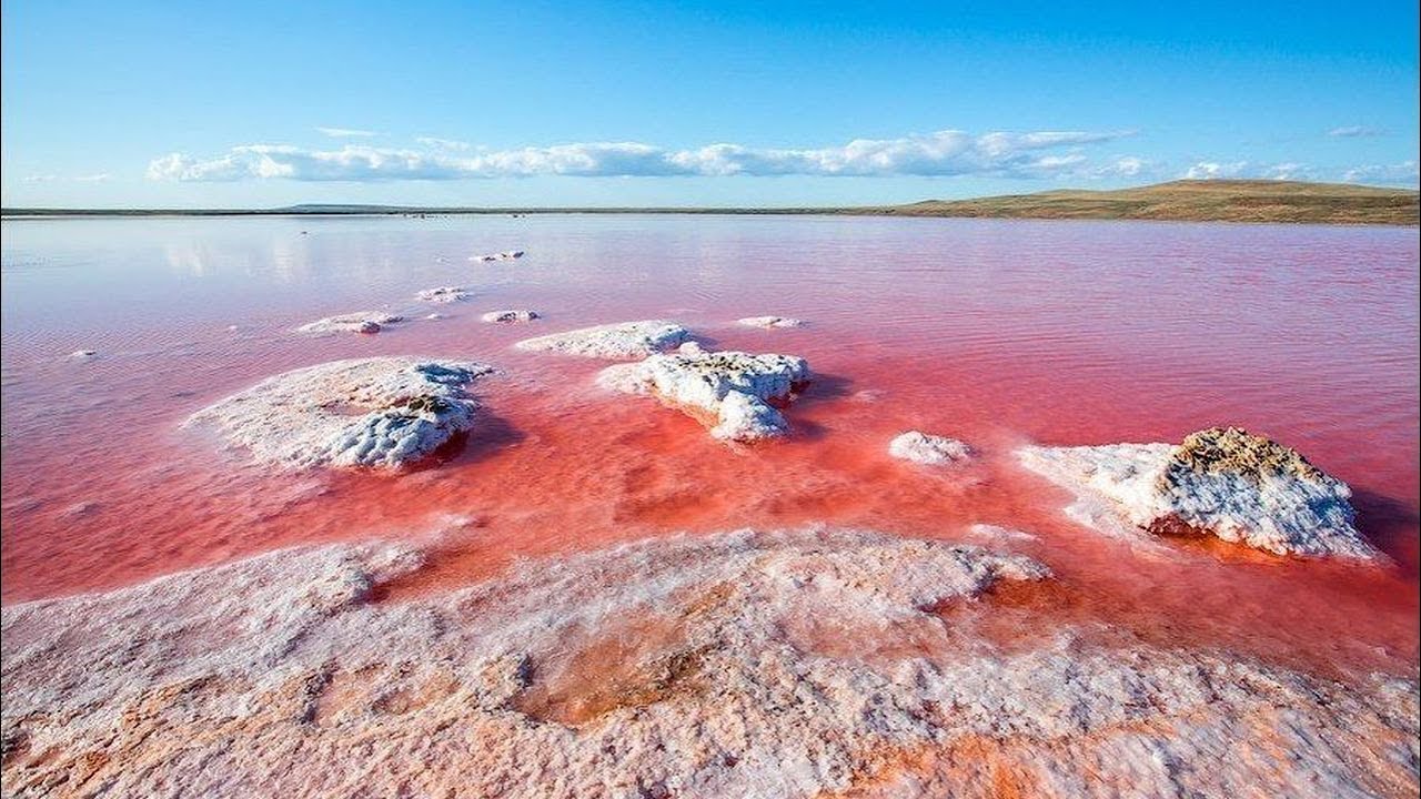 Кояшское соленое озеро Крым розовое