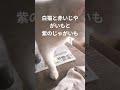 #赤いジャガイモ#紫のジャガイモ#白猫#26年6月8日