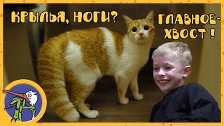 Макс и его друг котик Рыжик играют вместе Макс и его друг котик Рыжик играют вместе