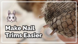 Tips For Trimming Rabbit Nails (Dark Nails and the Best Nail Clippers) by Bun's Best Life 7,894 views 1 year ago 6 minutes, 22 seconds